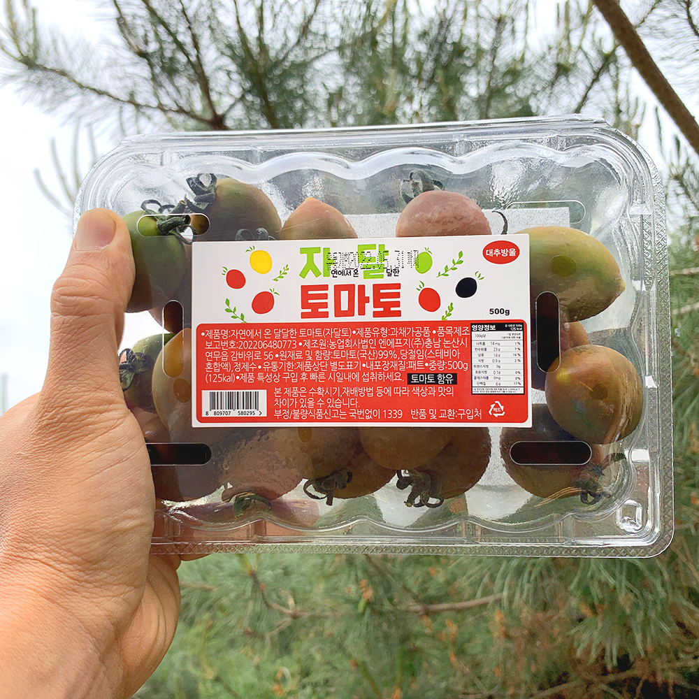 스테비아 쿠마토 흑토마토 자달토마토 스윗 레드 설탕 단 : 에이원플러스