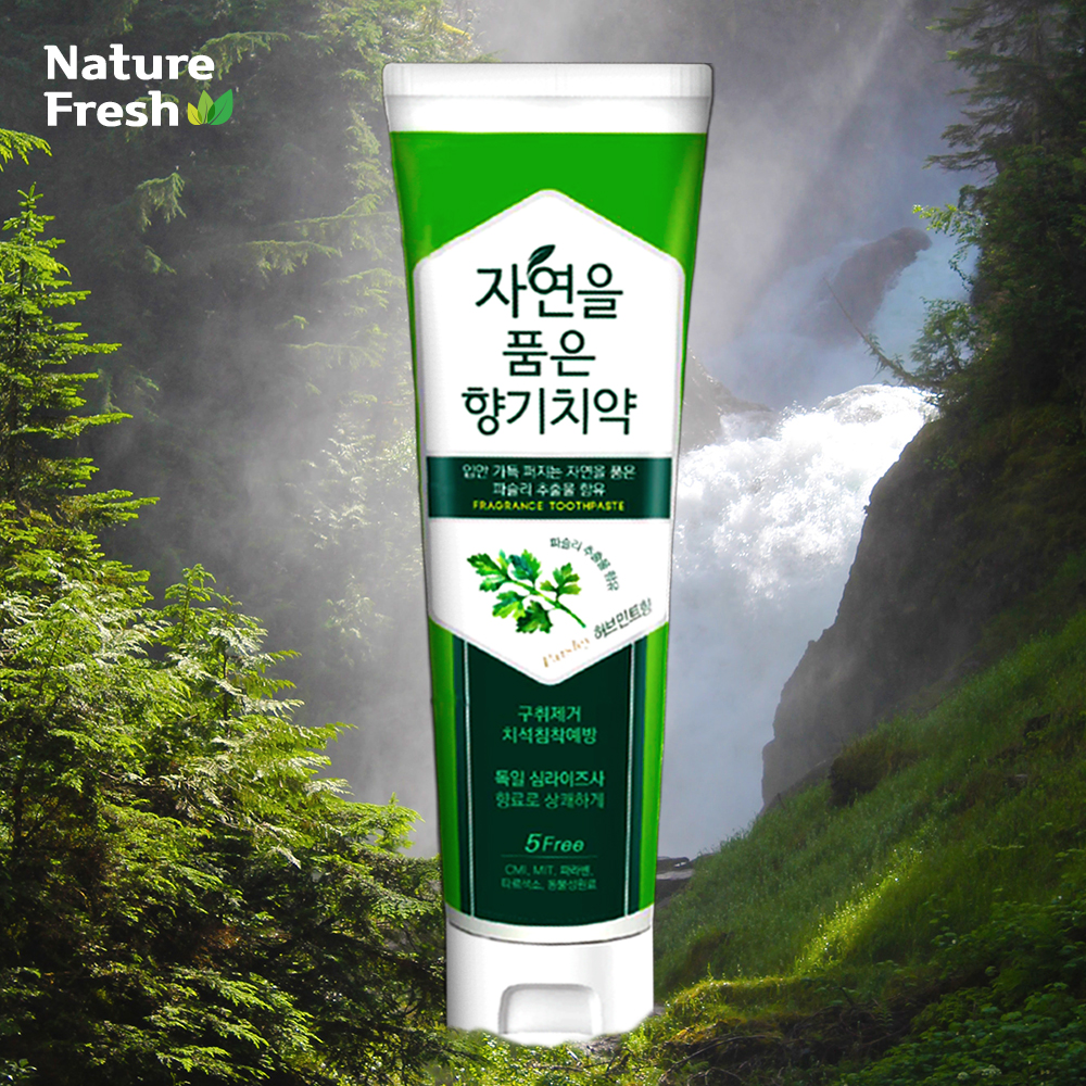 자연을품은향기 천연 잇몸 치석 구취제거 입냄새 치약 120gX3개 : Delightcare