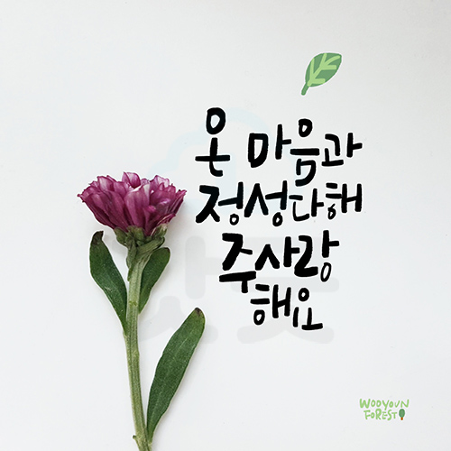 디지털 캘리그라피 94 온마음과 정성다해 by 우연캘리그라피 : 갓굿