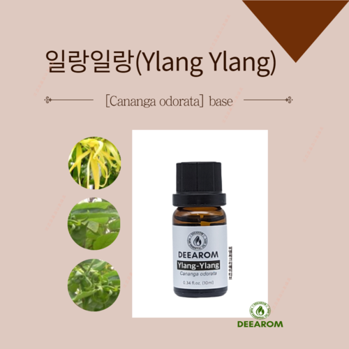 일랑일랑 에센셜오일 10ml / 테라피등급 디아롬 아로마 : 비엠씨크리에이티브