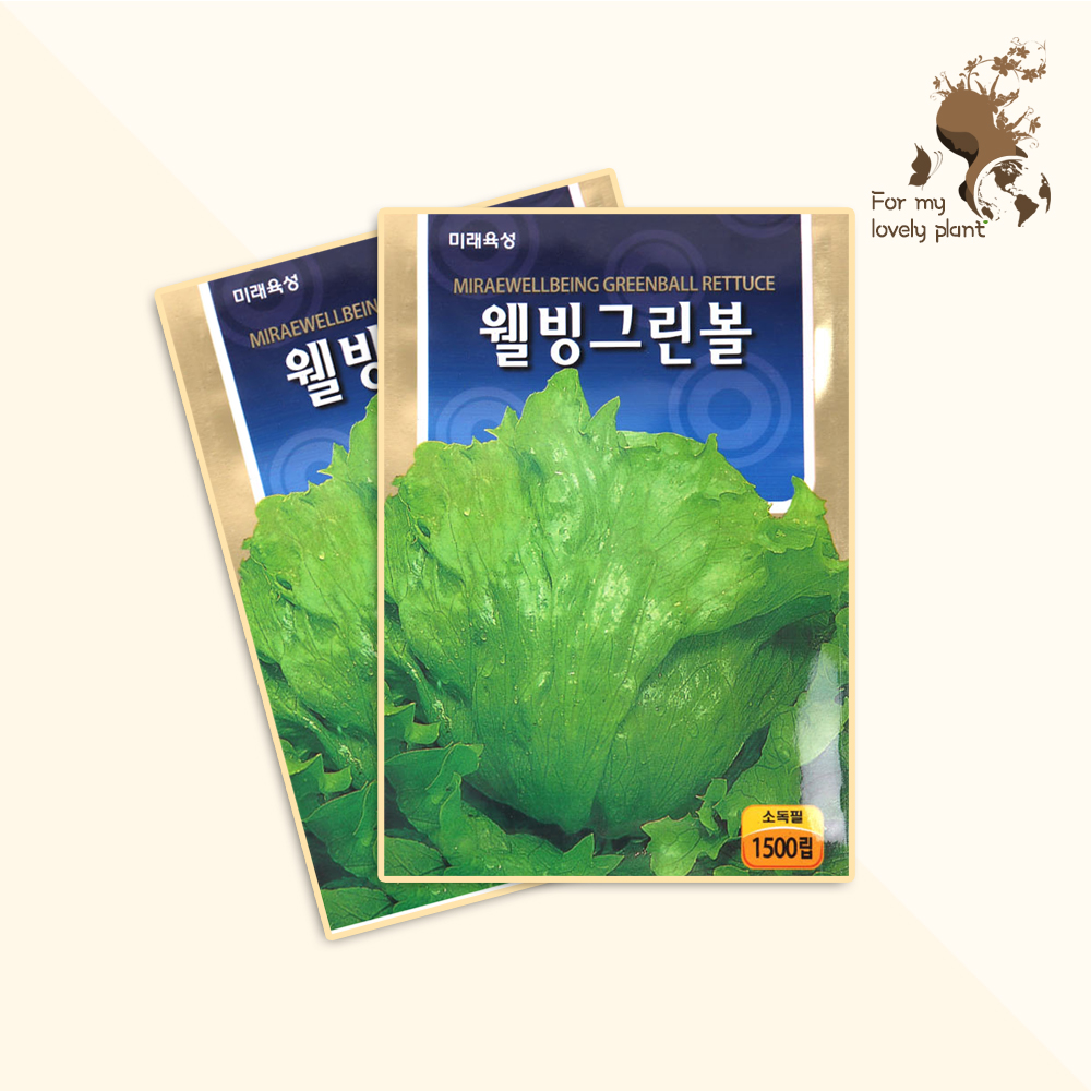 웰빙그린볼 양상추 1500립 미래종묘 잎채소류 씨앗 : 샵티앤아이