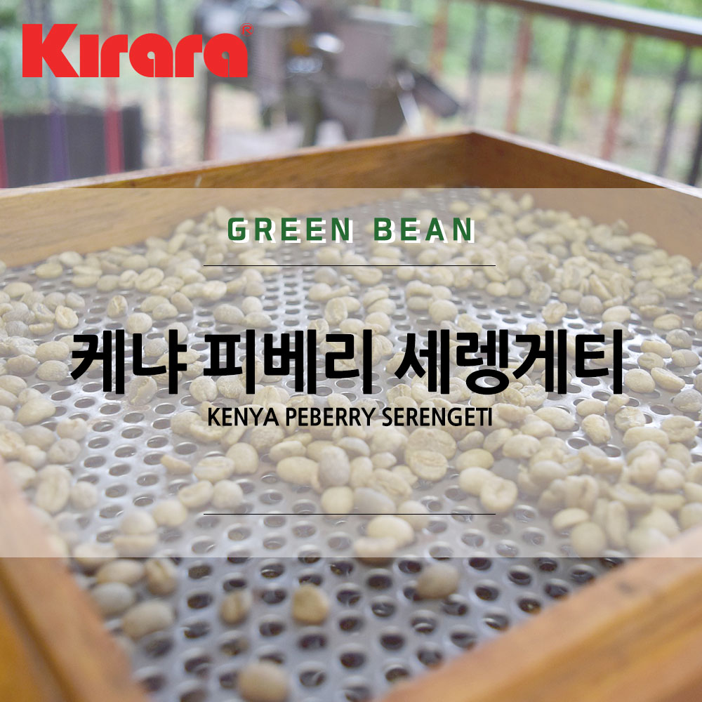 [생두] 케냐 피베리 세렝게티 500G : 커피올데이