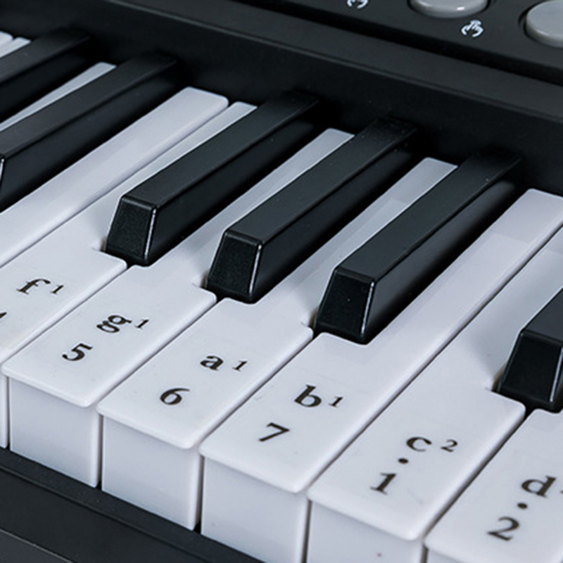 전자오르간 전자키보드 otamatone keyboard stand 피아노 컨트롤러 전문 : 율로웨이
