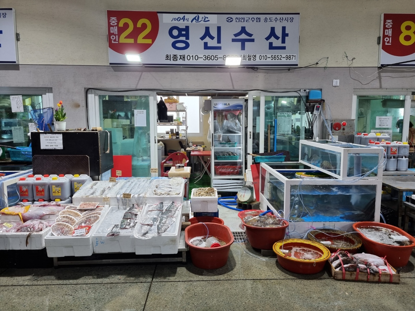 신안 임자도 지도 생물 병어 개별진공포장 1마리 특대(500g)에서 중소(200g)사이즈 : 신안 영신수산