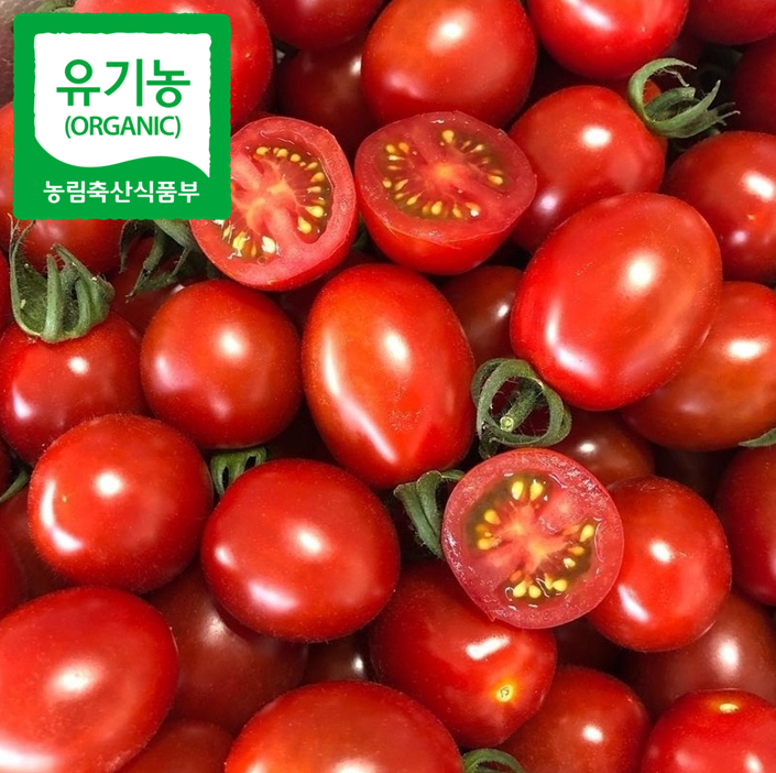 당일수확 향농원 유기농 대추방울토마토 2kg : 유기농 향농원