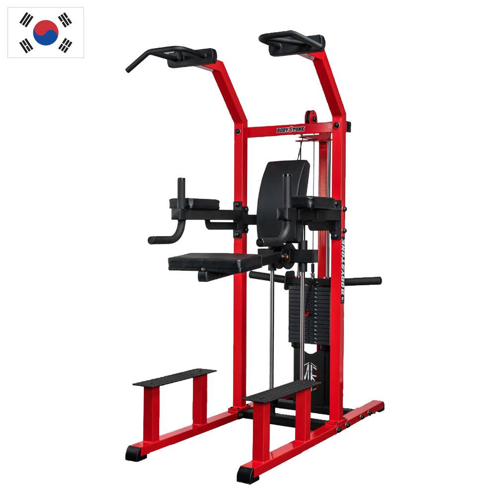 풀업머신 어시스트 친업 딥스 클럽용 헬스기구 치닝디핑 턱걸이 pt샾 헬스장 체력단련실 : 듀애슬론 스포츠
