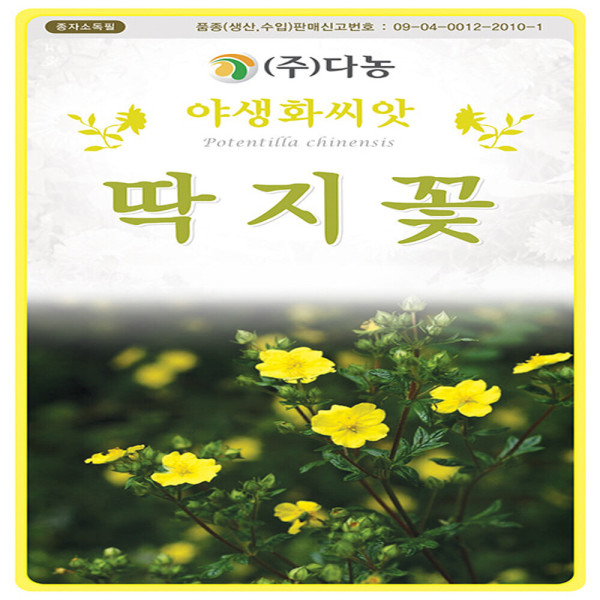 다-딱지꽃 500g : 영미의정원