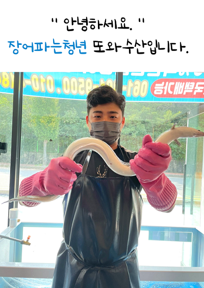 또와수산 국산자포니카민물장어 1kg손질후700g(초벌가능) : 또와수산
