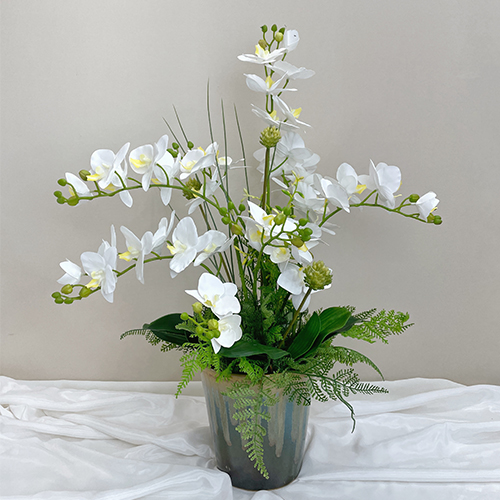 화이트 호접난 화분 (H 75cm) / 조화 완제품 : 플레르데코
