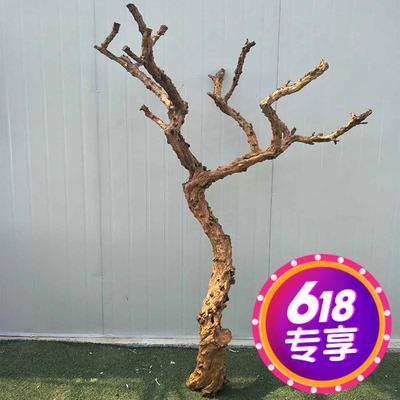 나뭇가지 장식 인조 가짜 나무 정원 카페 인테리어 조화 마른 줄기의 석류 말린 나뭇가 : MAYBEMAY 메이비메이