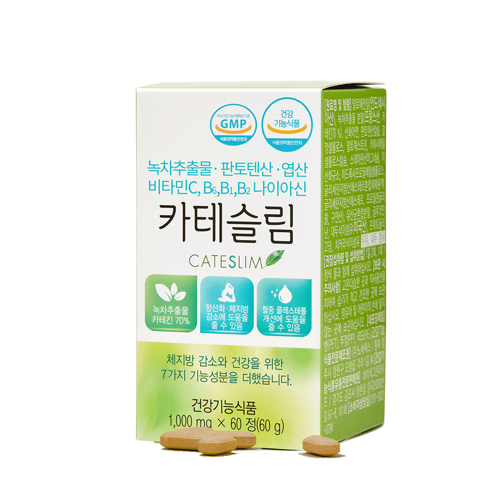 (3개월) 카테슬림 다이어트보조제 효과좋은 칼로리컷팅제 녹차 카테킨 녹차추출물 체지방분해 추천 : 네이처그린라이프 스토어