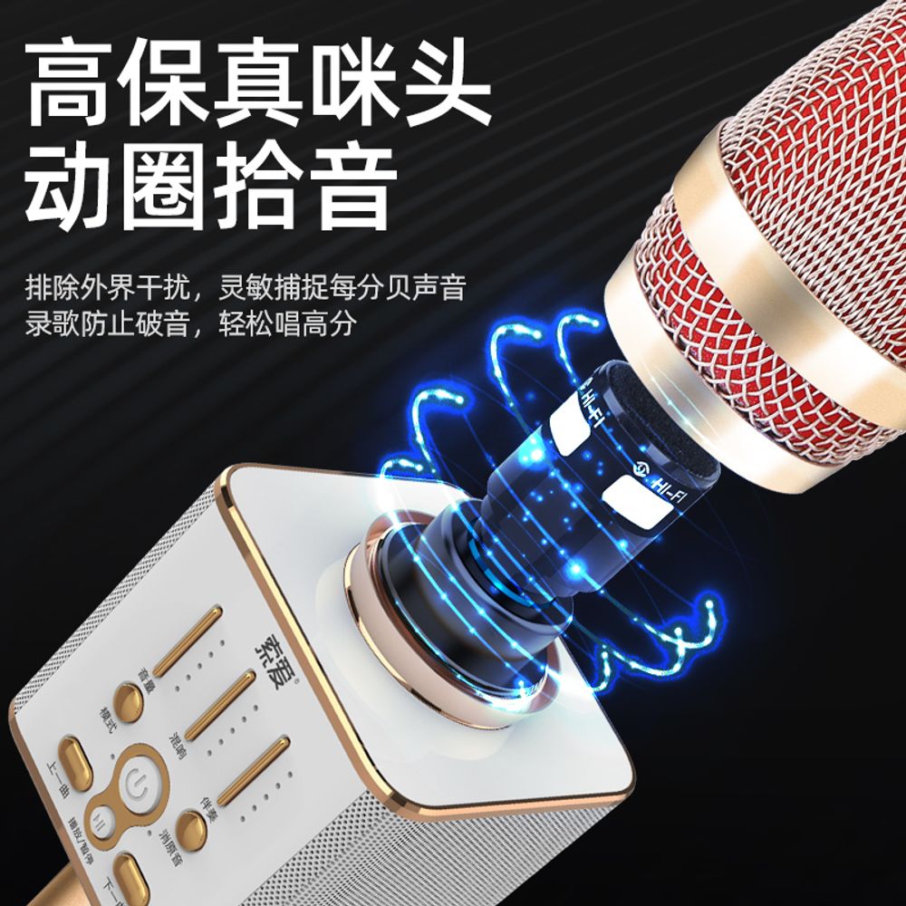 블루투스 무선 마이크 스피커 휴대용 노래방 기계 : 두진상사