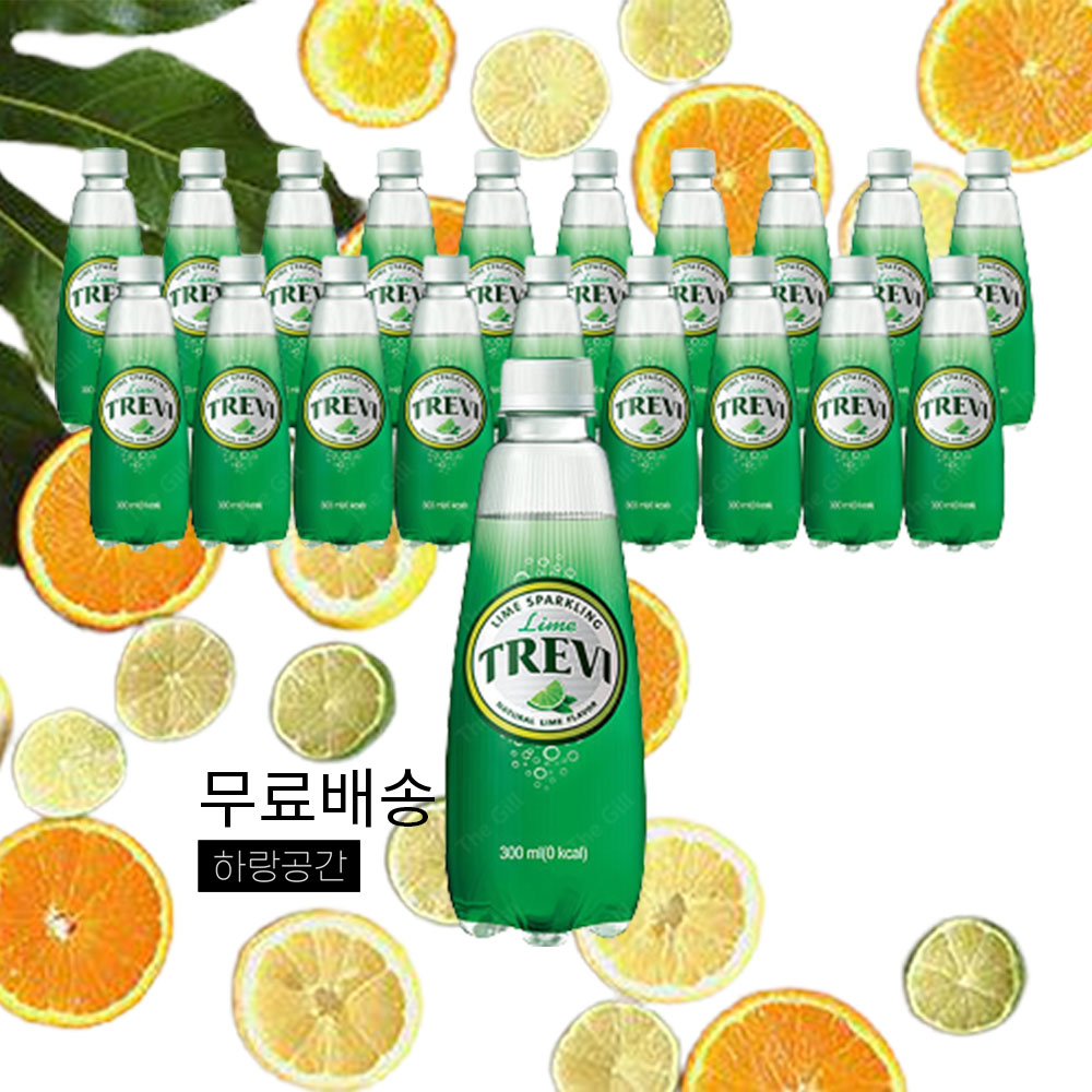 [무료배송]트레비 라임300ml 펫x20입 : 하랑공간
