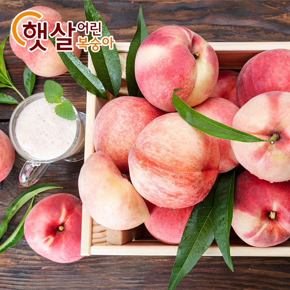 아삭아삭 의성 햇 복숭아4kg(16-20과) 산지직송 : from 수