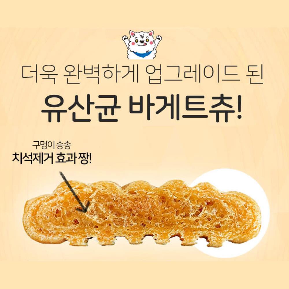 당뇨예방 혈당낮추는데 도움 치석제거  애견건강 츄간식 2봉 싱글 씹는재미 : 제이앤제이-스토어