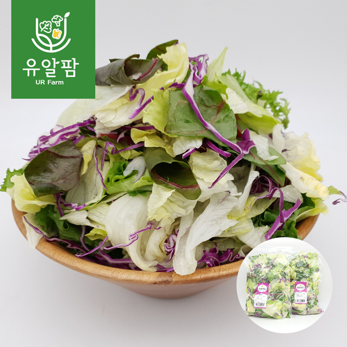 의령농산 유알팜 당일채소 당일제조 당일발송  대용량 샐러드 1kg 1+1 총2kg : 유알팜