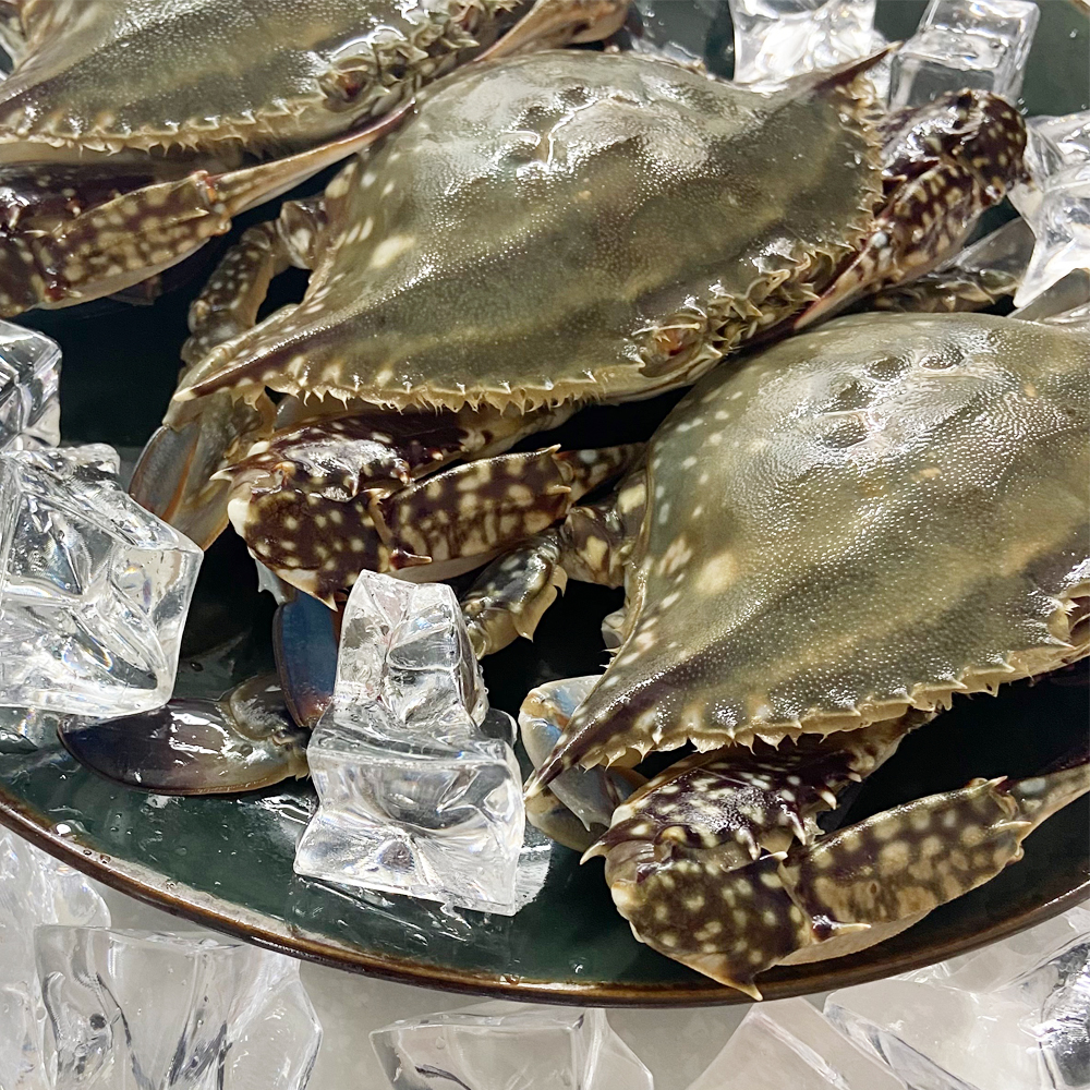 제철 꽃게 급냉 암꽃게 1kg 알배기 속이 꽉찬 꽂게 서해안 산지직송 : 팔도푸드마켓