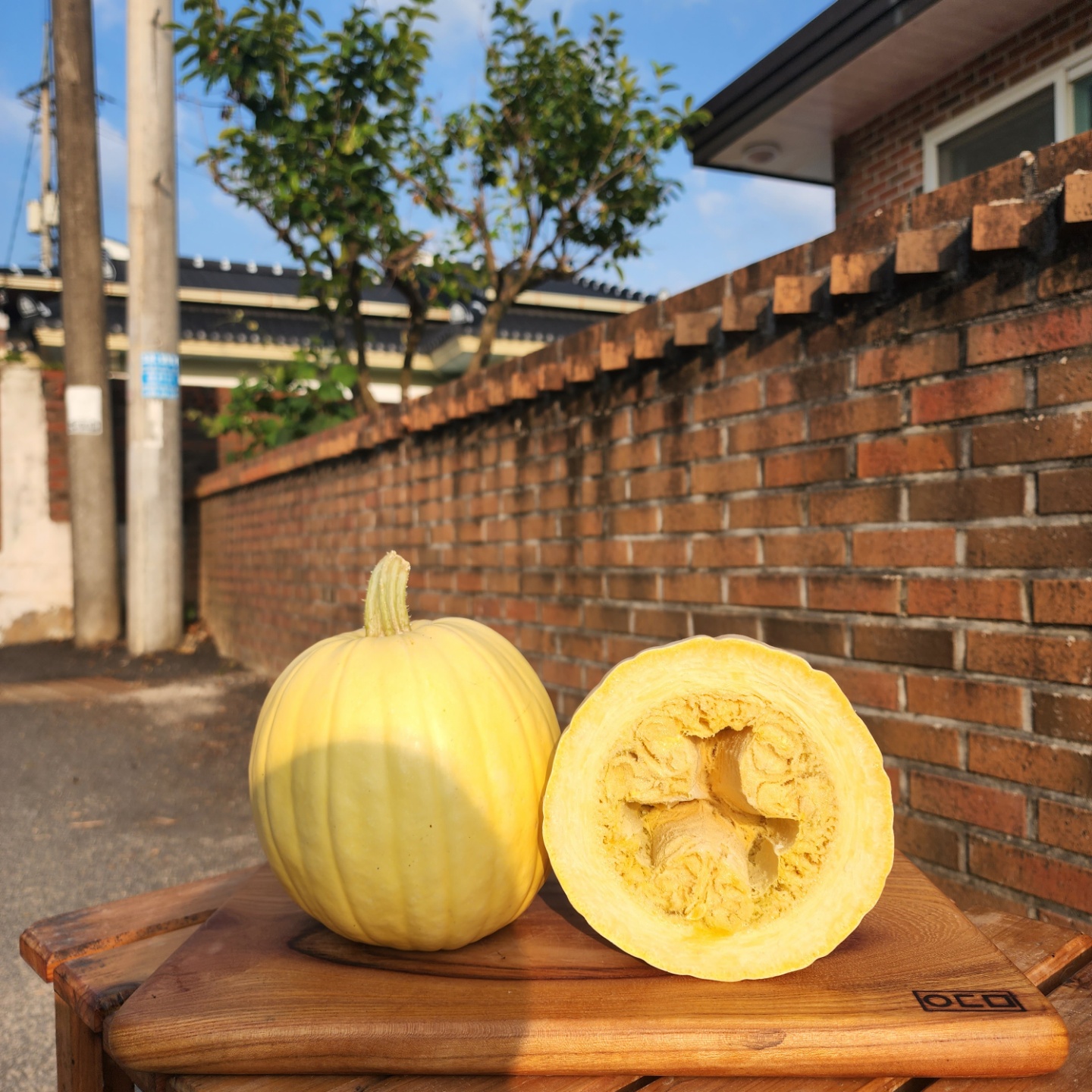 국수호박 3kg 5kg : 품안 농장