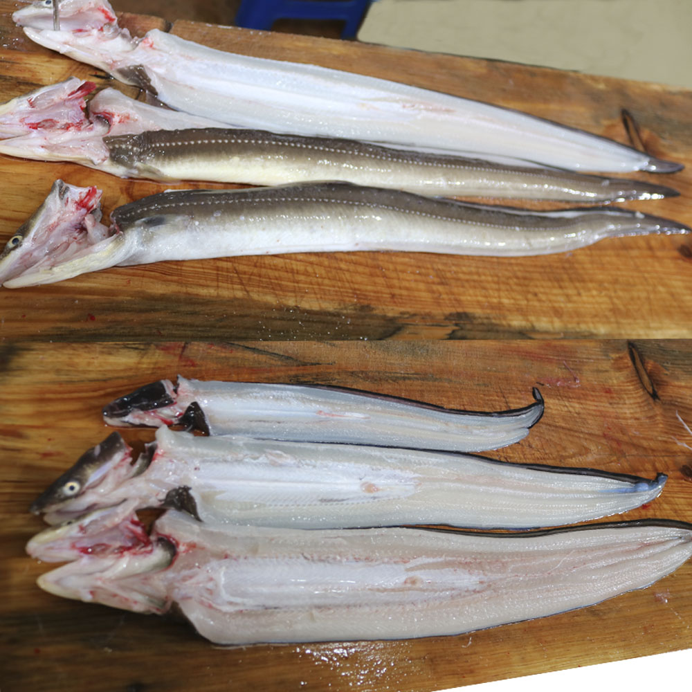 바다장어 1kg 붕장어 통영 자연산 손질 장어 구이 : 워커하이브