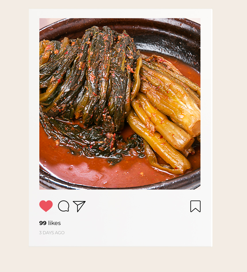 국산 가정식 숙성 전라도 강진 김치 묵은 갓김치 1kg : 강진 모란김치