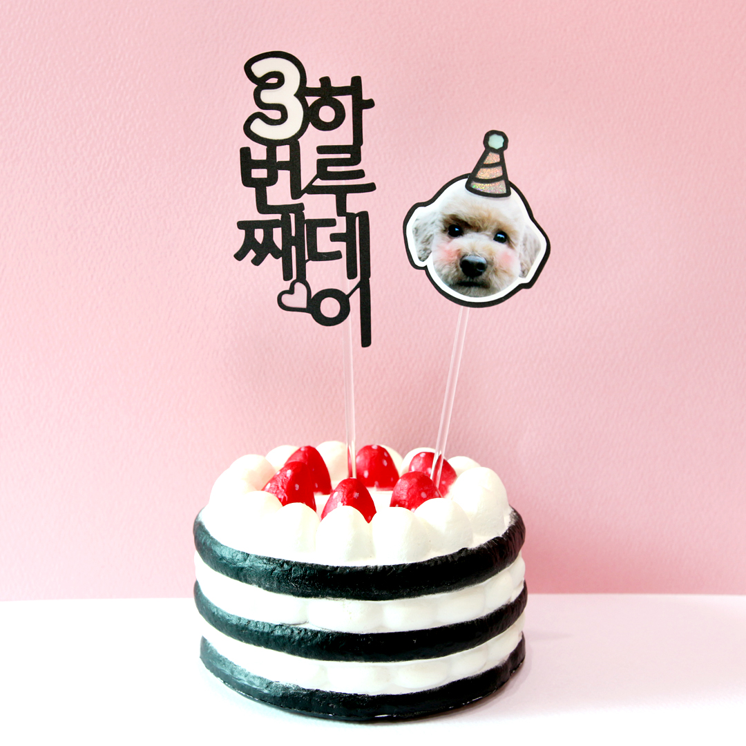 감성 데이 케이크픽 - 생일축하 파티 레터링 글씨 토퍼 : 소소펫토리