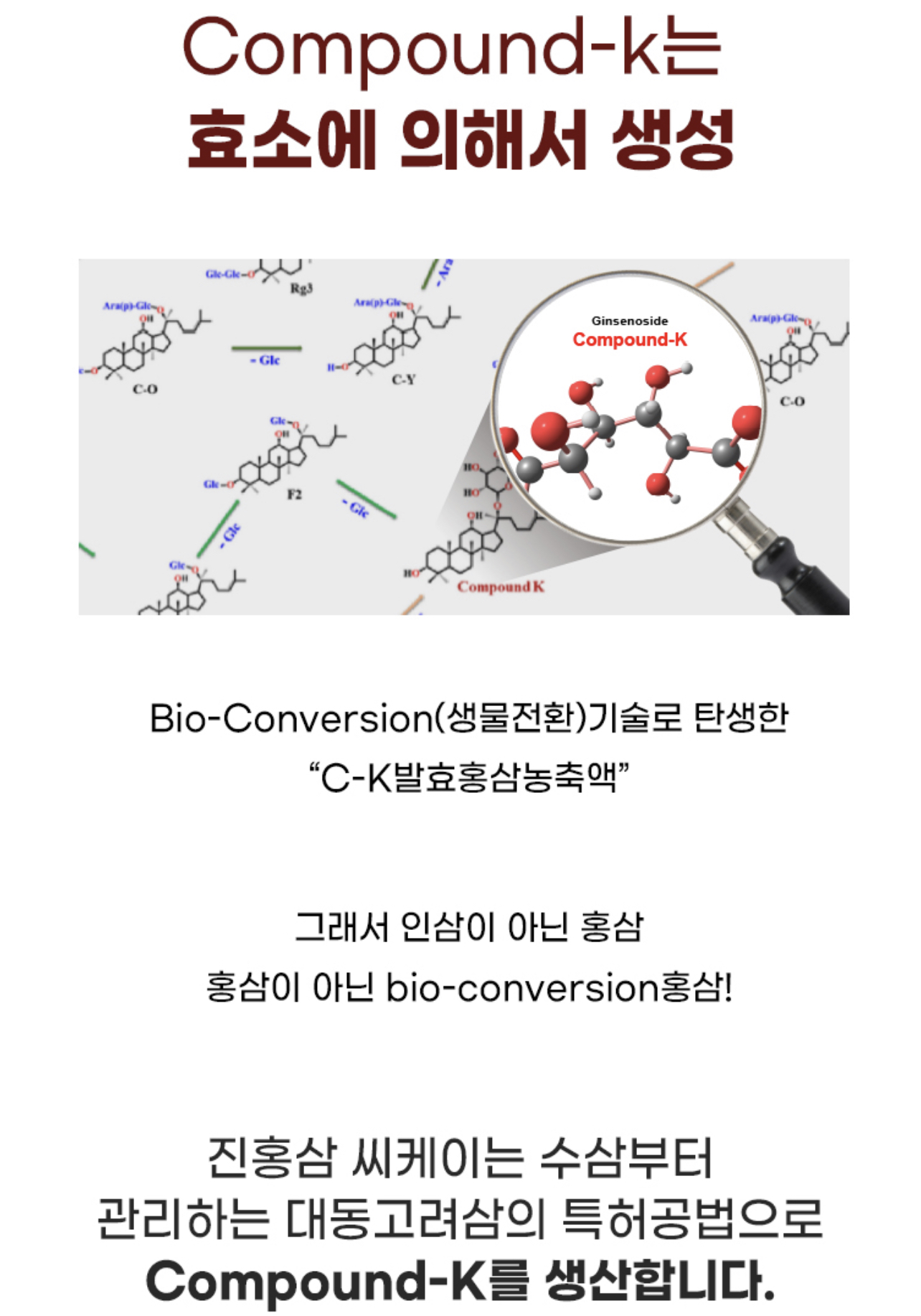 하이리빙 진홍삼씨케이(30포) - 흡수율UP 특이사포닌 면역강화 : 하이리빙통합마트