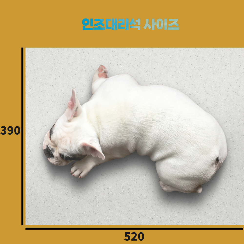 강아지 고양이 대리석 애견 쿨매트 인조대리석 : 비엔제이마블