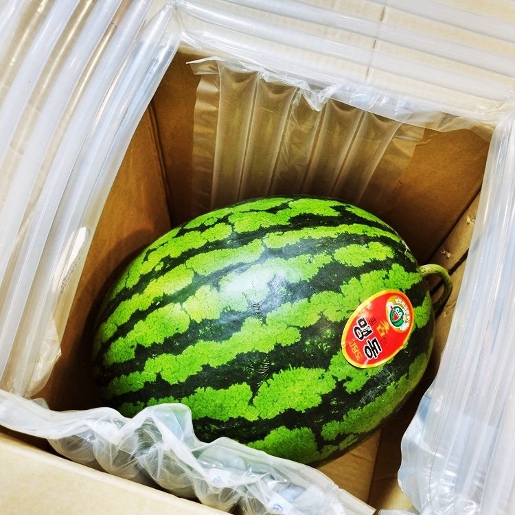고당도 꿀 수박 7kg 8kg 맹동 복수박 제철 애플 임산부 스테비아 하우스 : 마켓 설렘
