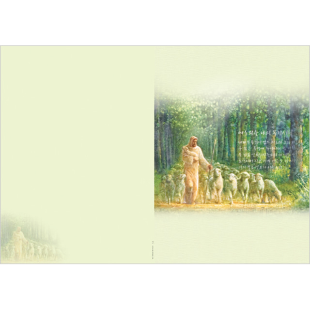 진흥팬시 A4 4면 주보 1079 (100매입) : 바이블집