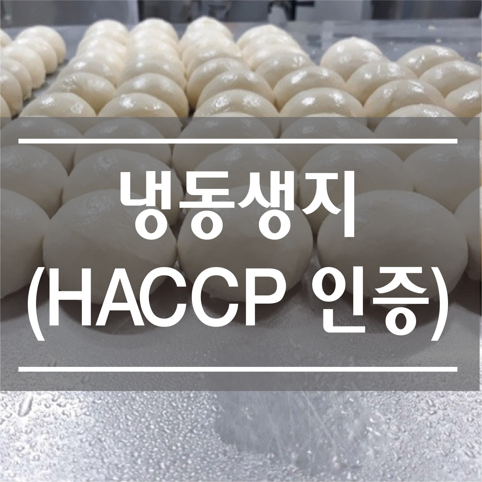 [쌀빵라팡] 쌀로만든 반미바게뜨 냉동생지 - 100개 : 쌀빵 라팡