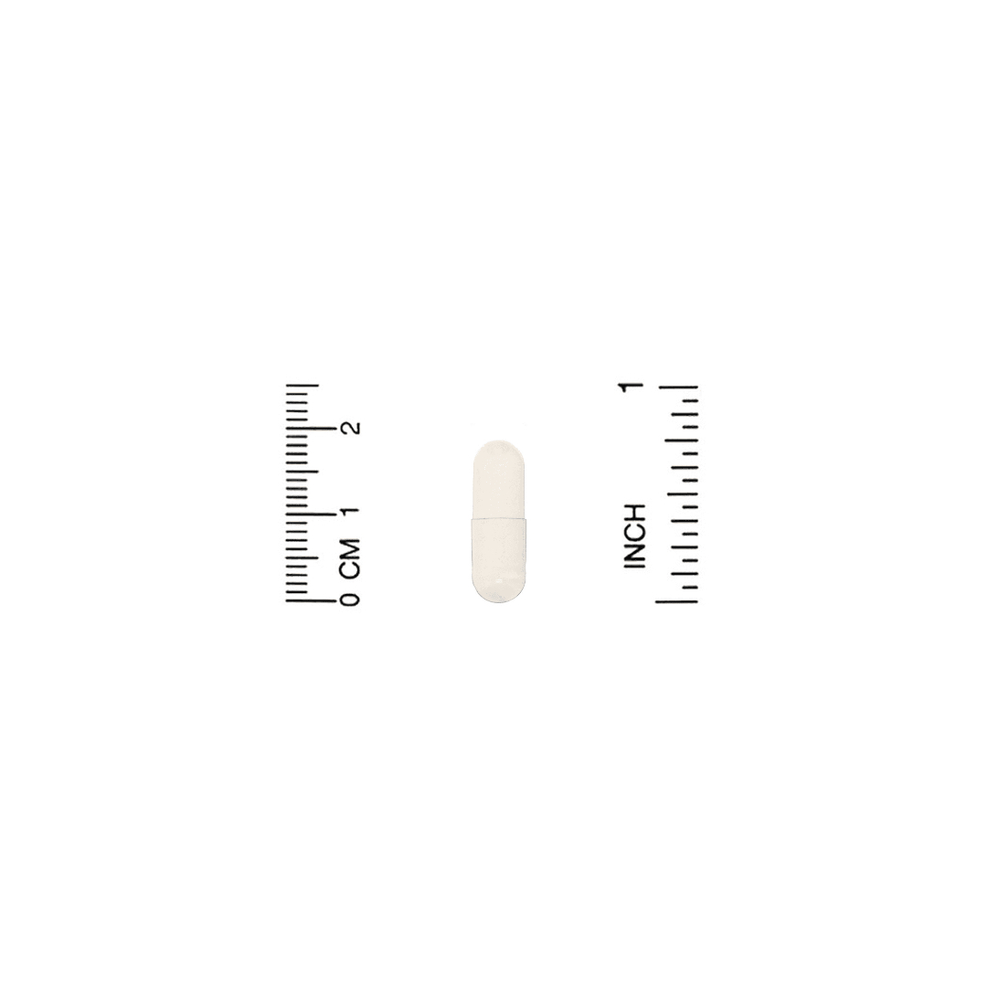 CGN CG땡 캘리포니아골드 프테로스틸벤 50mg 180캡슐 : 바이제이마켓