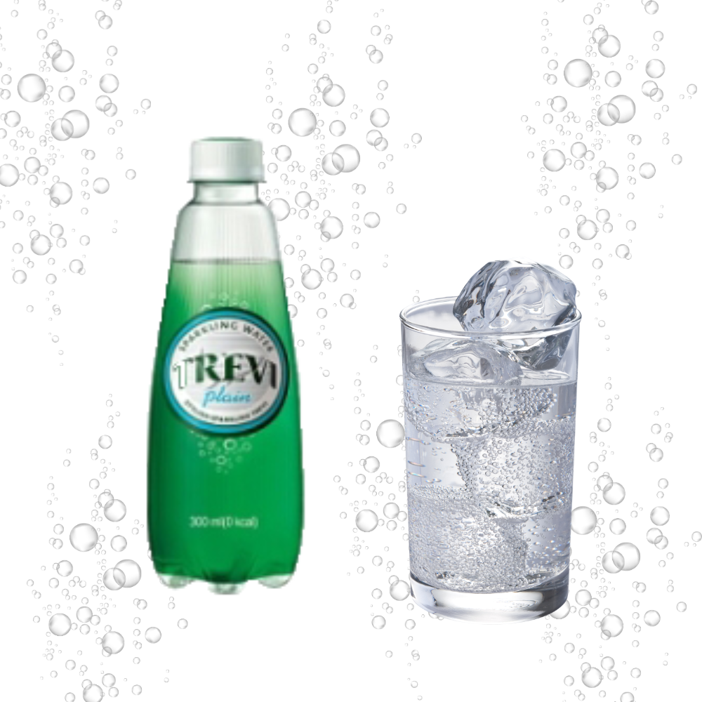 롯데 트레비 플레인 300ml x 20PET : Js Store