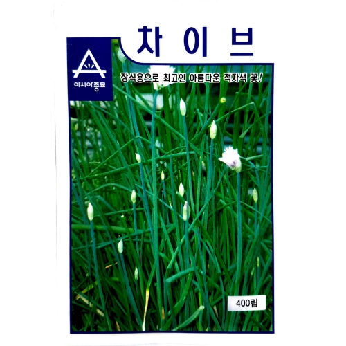 허브씨앗 차이브·커몬챠이브즈(400립) 꽃씨앗 종자 허브키우기 마당 텃밭 가꾸기 : 7 Gardeners