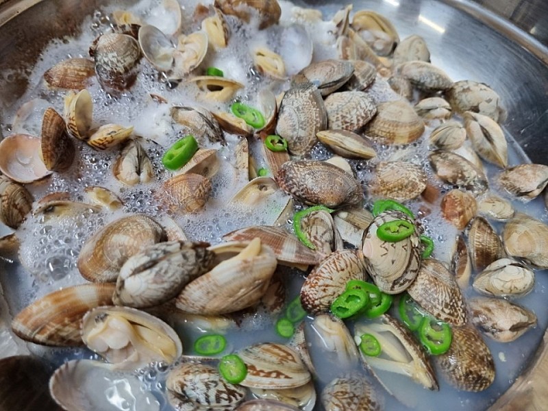 연안 바지락 1kg : 수산물 가격 파괴