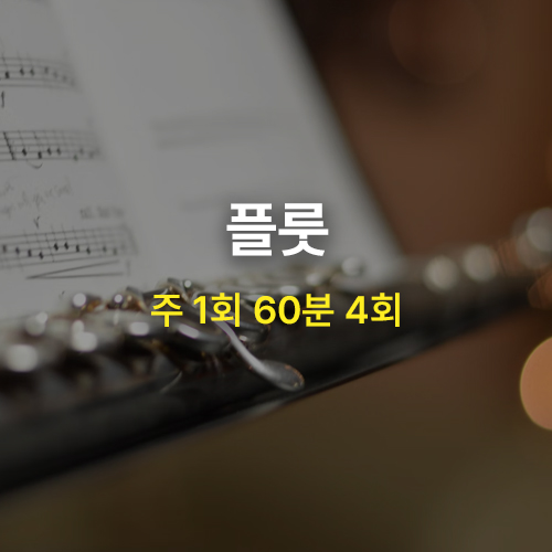 [MCMI 음악학원 분당] 플루트 클래스 / 한달 4회권 / 1:1 개인 레슨 : MCMI 음악학원