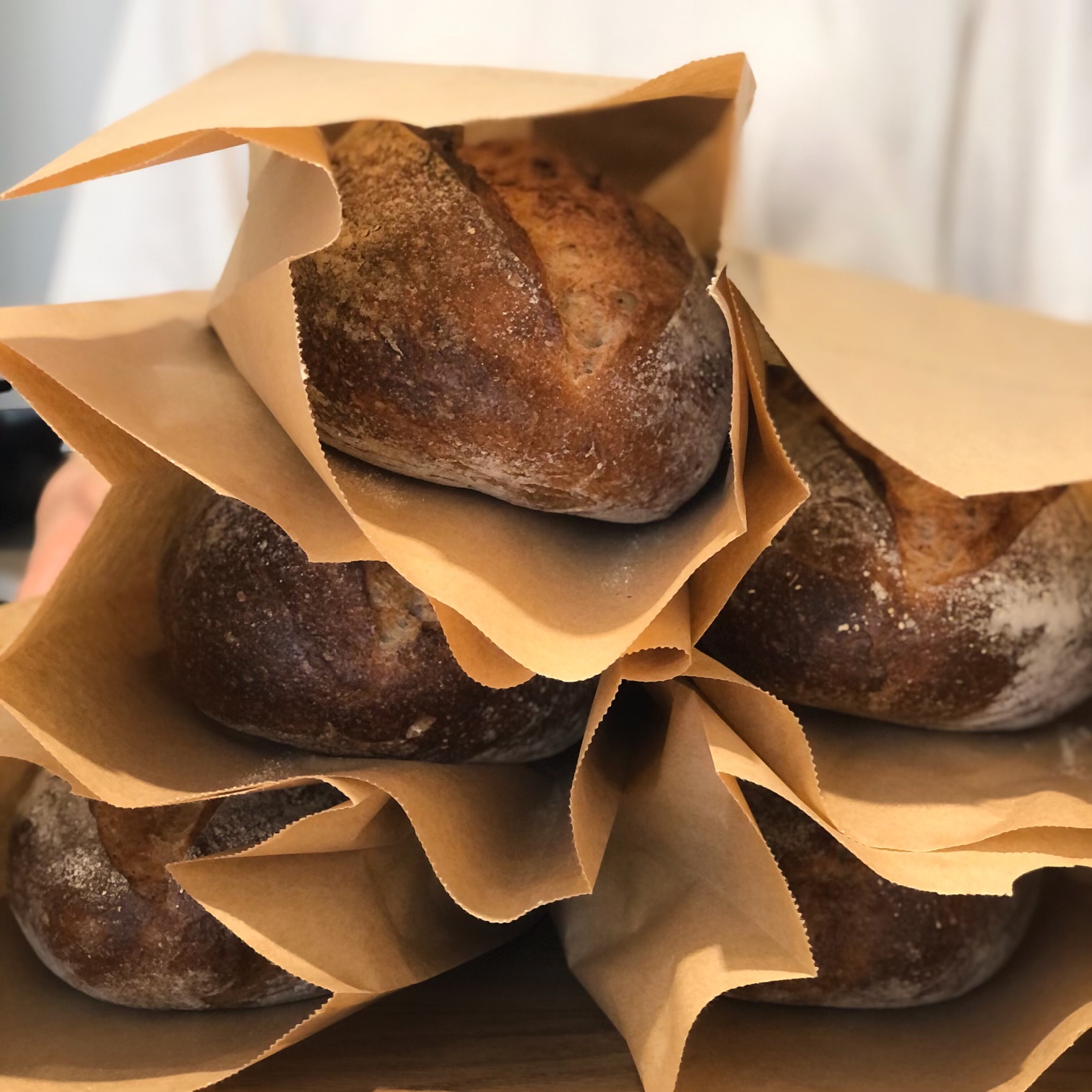 통밀호밀 사워도우 600g / 통밀 호밀 빵택배 식사빵 샌드위치빵 깜빠뉴 sourdough 식전빵 : 퍼멘트베이커리