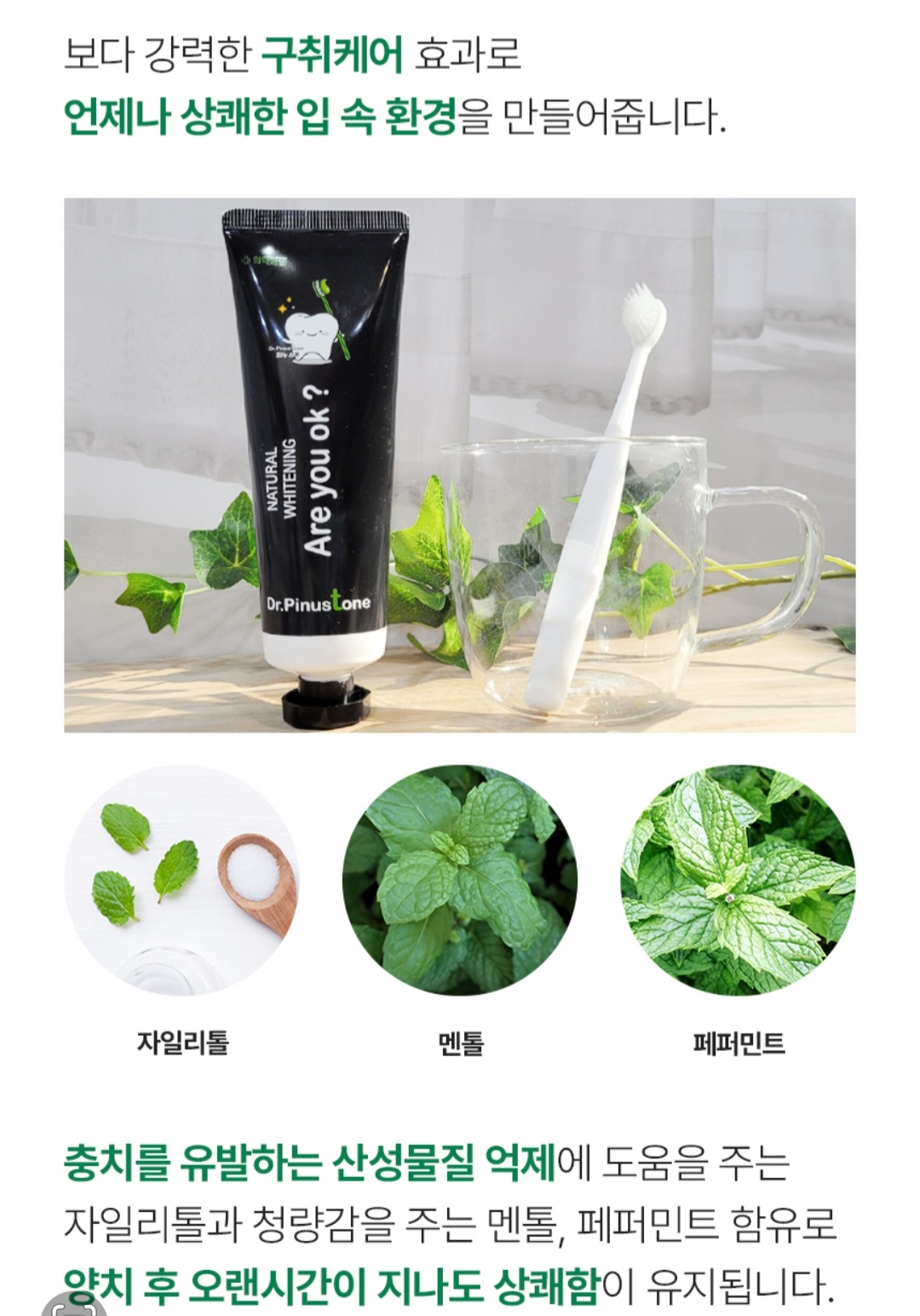 아마란스 닥터 피누스톤 치약 : 피누스스토어미소미인