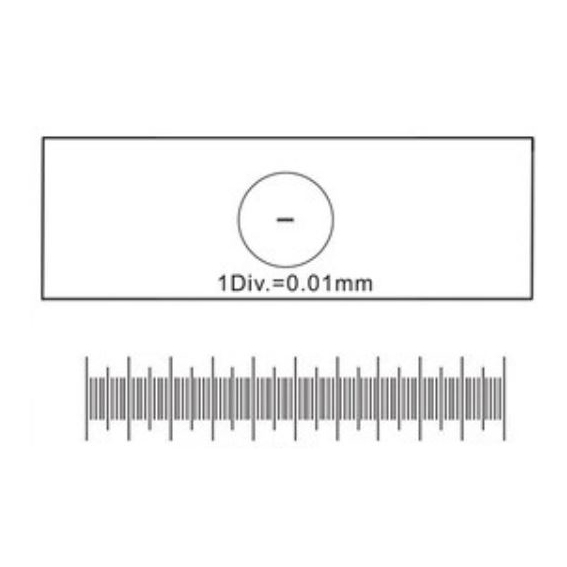 Micrometer Calibrator 10um 교정자 현미경자 스케일바 : 테크피아