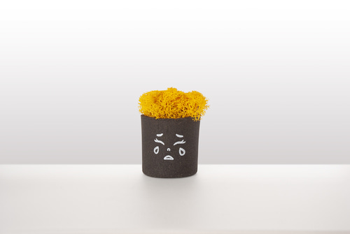 스칸디아모스 커피 화분 친환경 제로웨이스트 (스칸디아모스 못난이 컬렉션) : 예스잇츠커피