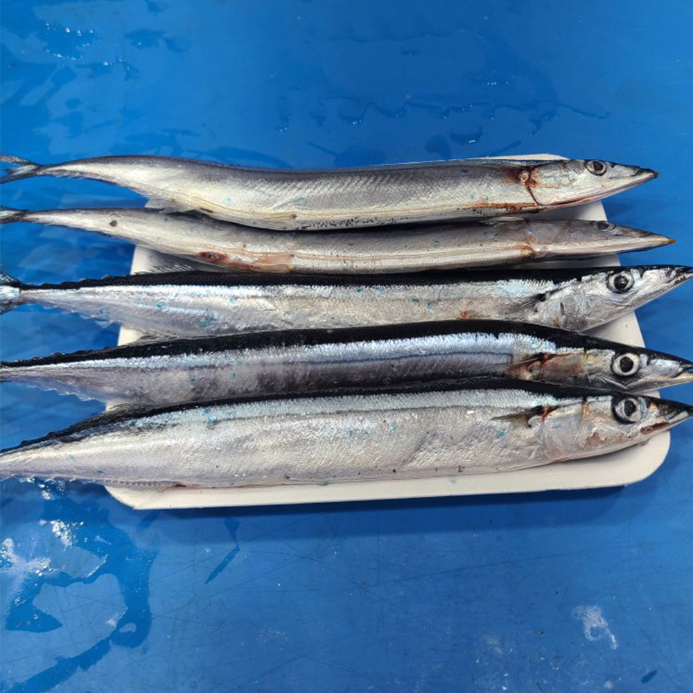 [중랑구 배달] 신선한 꽁치 4미 [동원 대양수산] : 동네시장 장보기