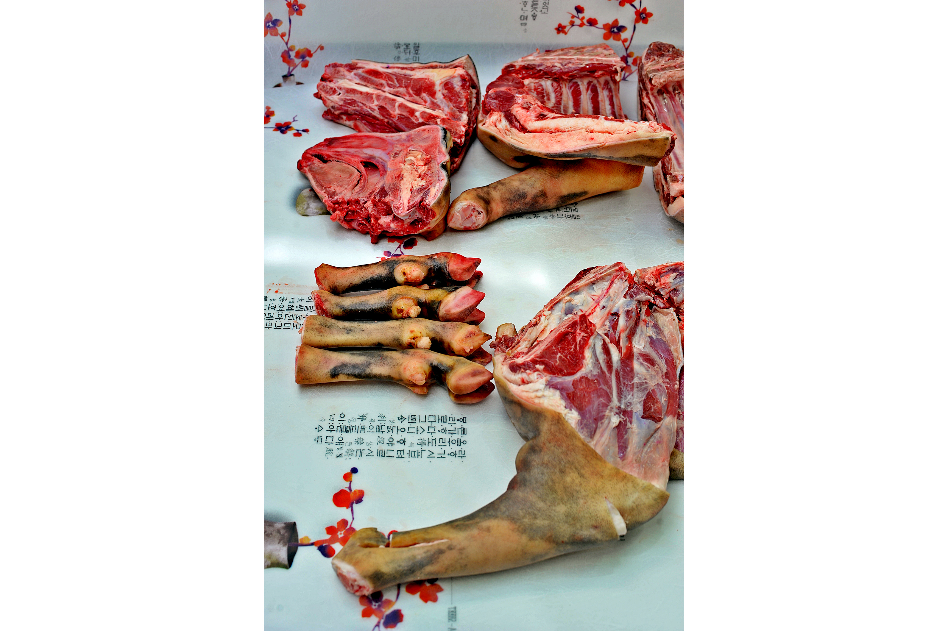 국내산 흑염소고기 한마리 20kg 정육 지육 HACCP 도축 : 알콩달콩흑염소
