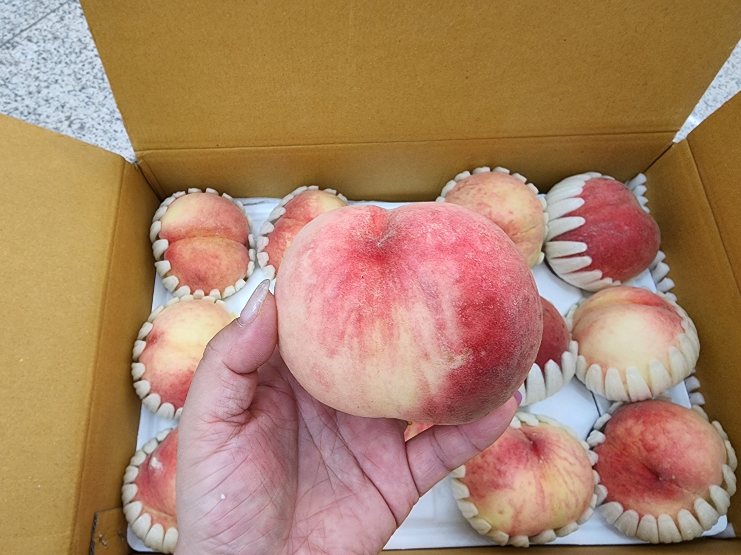 [공구/산지발송] 대월 백도 복숭아 4kg 12~15과 : 벨라맘마 마켓