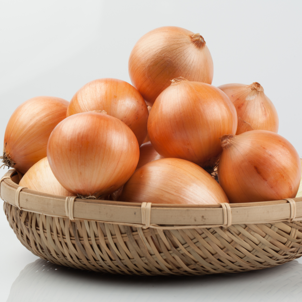 2025년 국내산 햇 양파 장아찌용 양파 3kg 5kg 10kg : 싱싱다모아