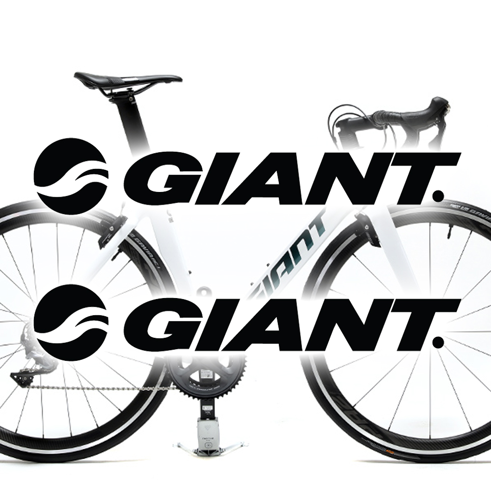 자이언트(구)(2개1세트) 스티커 로고 엠블럼 데칼 시트지 자전거 Giant : 스티커 팩토리