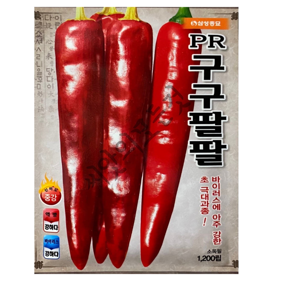 구구팔팔 고추씨앗 1200립 PR계 극대과종고추종자 : 씨앗의모든것