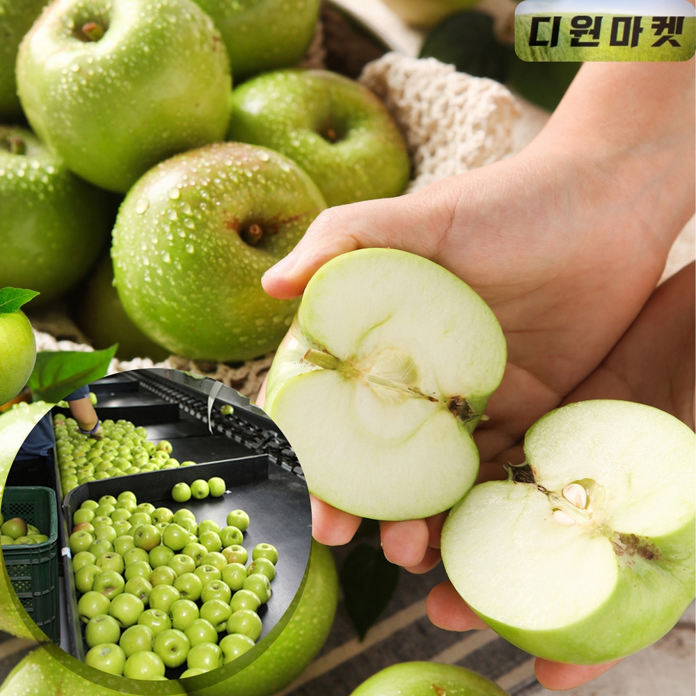 아오리 사과 껍질째 먹는 꿀 햇사과 여름 한입 청사과 못난이 과일 5kg : 디원마켓