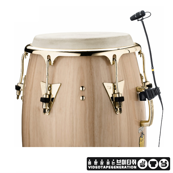 DPA 4099-on-conga 콩가 마이크 d:vote Core : VTG