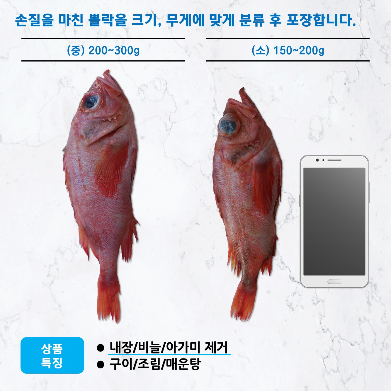 손질 대서양 붉은뽈락 (장문뽈락) (중, 65마리) : 소우푸드