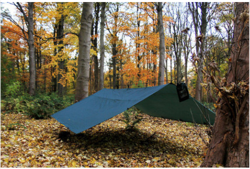DD Tarp 4x4 Forest Green Limited Edition 한정판 디디타프 당일발송 : 호방아웃도어