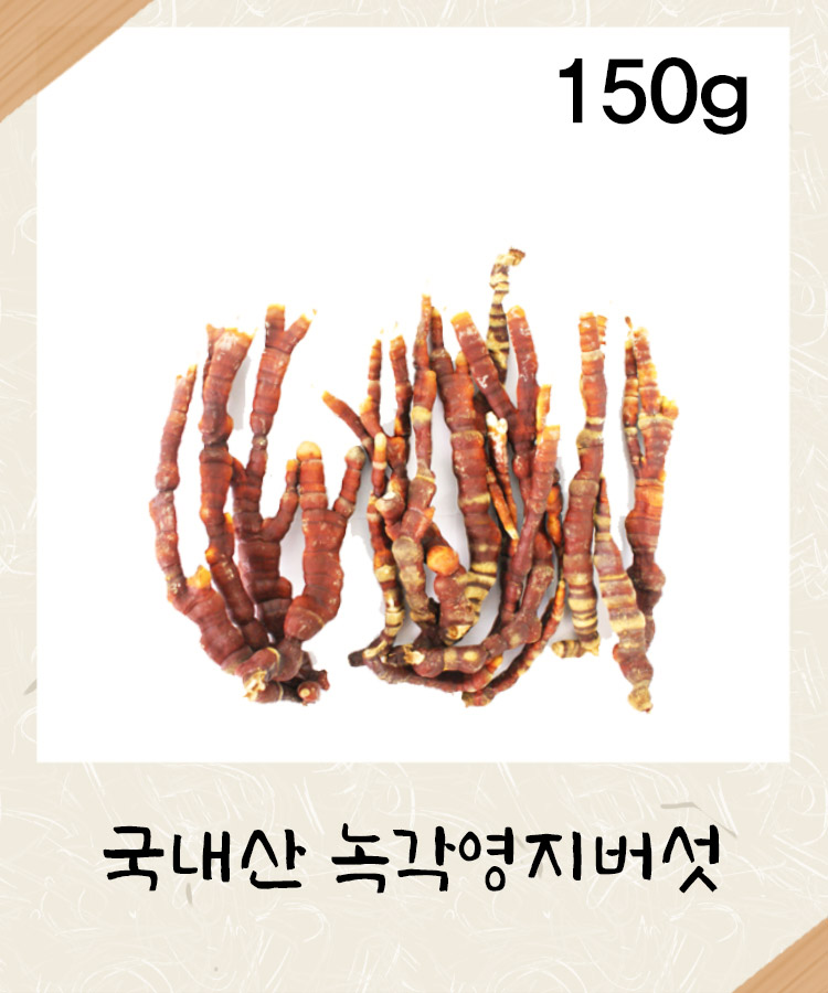 [국내산] 녹각영지버섯 150g : 성보식품
